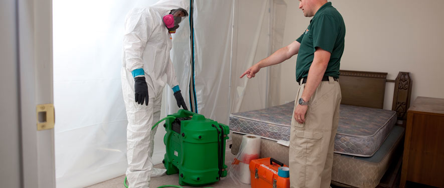 Greenwood, SC mold removal process